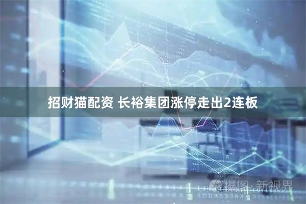 招财猫配资 长裕集团涨停走出2连板