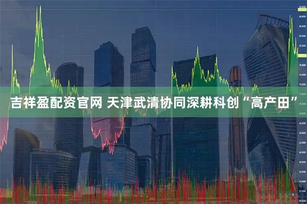 吉祥盈配资官网 天津武清协同深耕科创“高产田”